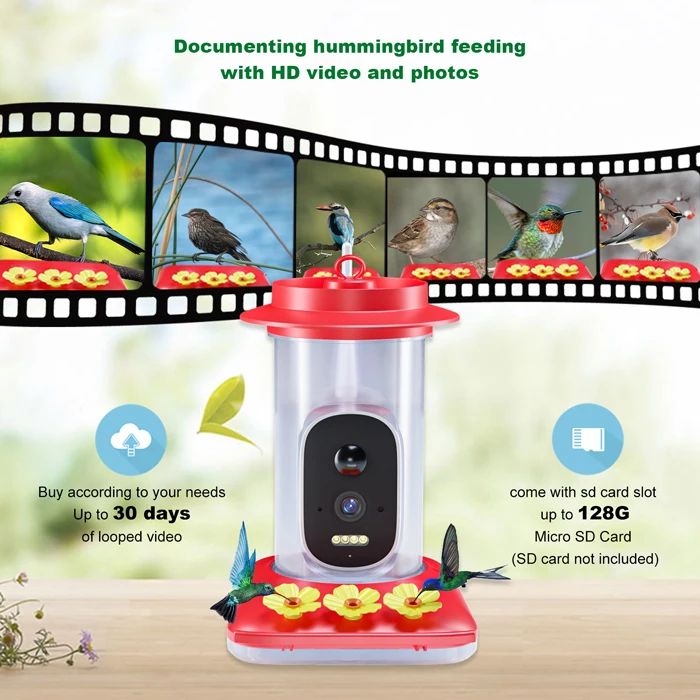 Solar Visual Hummingbird Feeder Hummingbird Water Feeding product detail 4