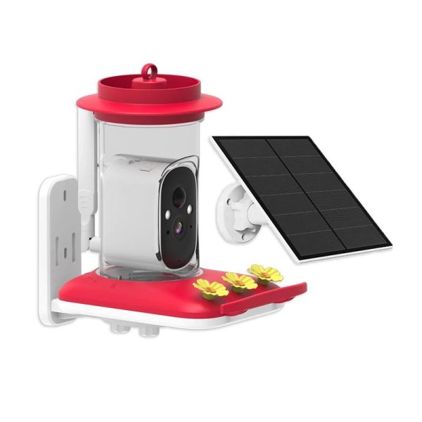 Solar Visual Hummingbird Feeder Hummingbird Water Feeding main