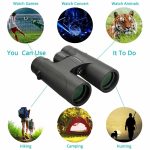 SV40 Binoculars 10X42/8X32 Powerful Professional Telescope gallery 05