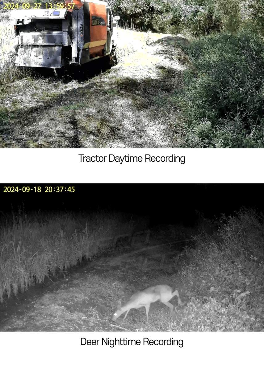 T2 4G LTE Wireless Trail Camera CMOS IP65 MinMax Outdoors product detail image 7