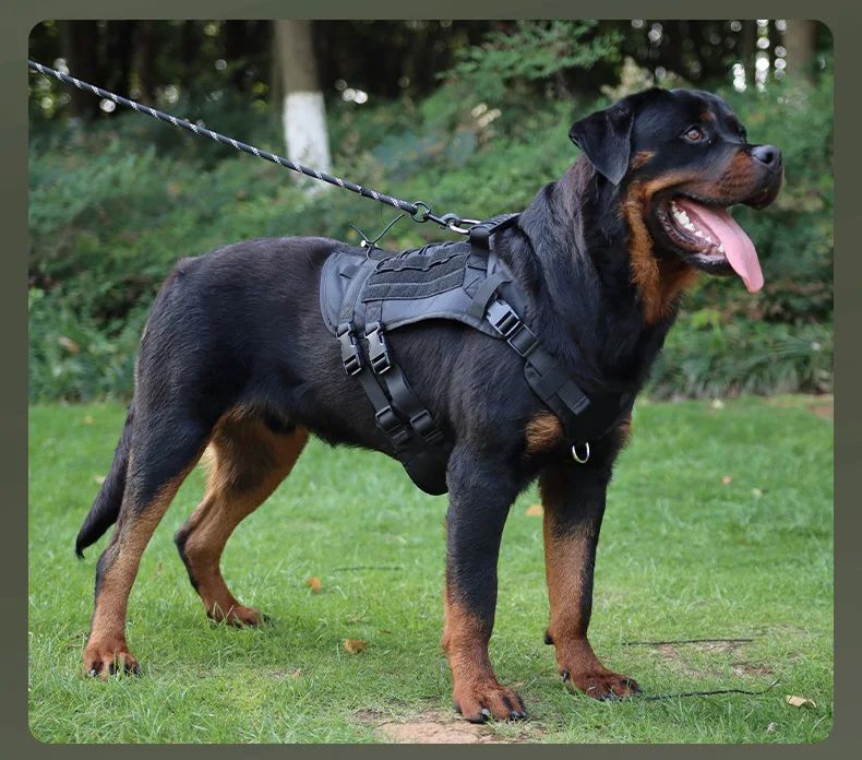 Tactical Nylon Dog Harness Vest Adjustable Breathable product detail 12