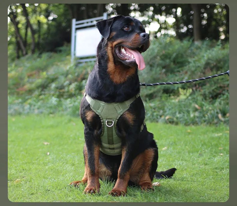 Tactical Nylon Dog Harness Vest Adjustable Breathable product detail 13