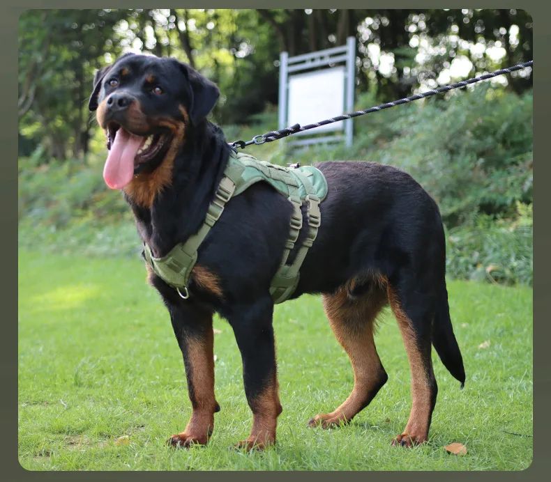 Tactical Nylon Dog Harness Vest Adjustable Breathable product detail 14
