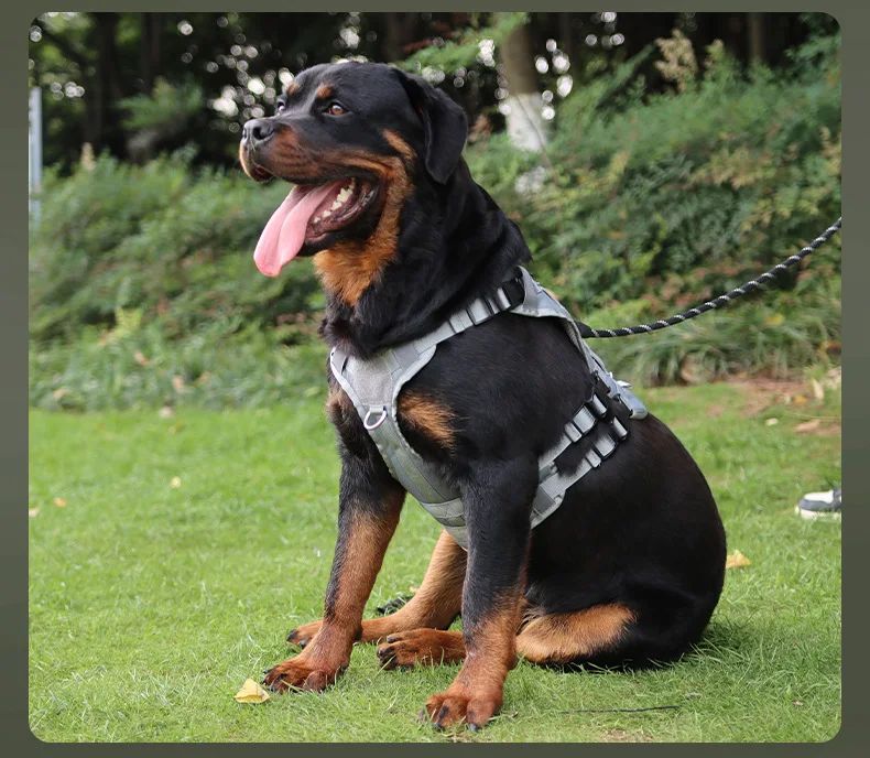 Tactical Nylon Dog Harness Vest Adjustable Breathable product detail 15