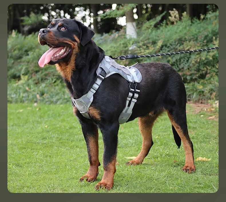 Tactical Nylon Dog Harness Vest Adjustable Breathable product detail 16