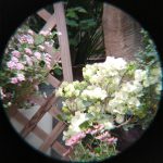 Telescope Astronomical Professional 70x400mm Handheld gallery 05