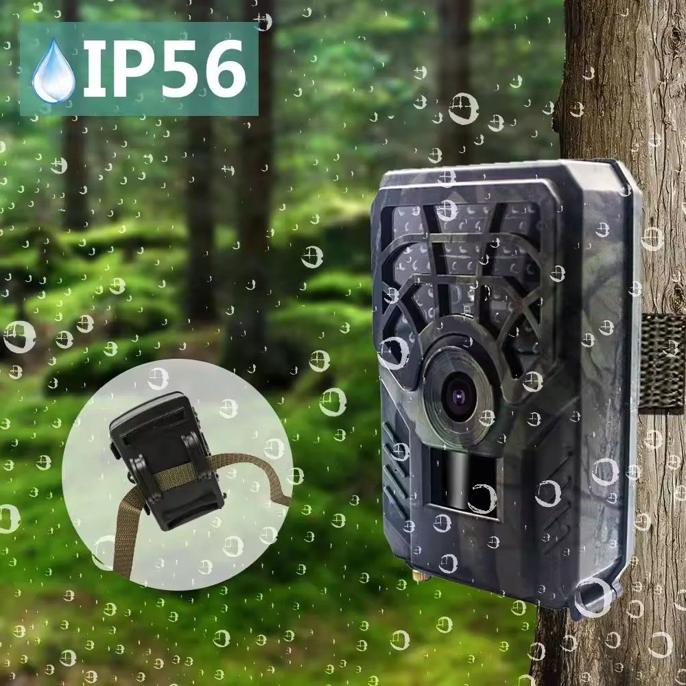 Top Sale Trail Camera Wholesale Waterproof HD 1080P MinMax Outdoors product detail image 3