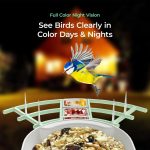 Wifi-Enabled Solar Bird Feeder High Definition 1080p Camera gallery 02