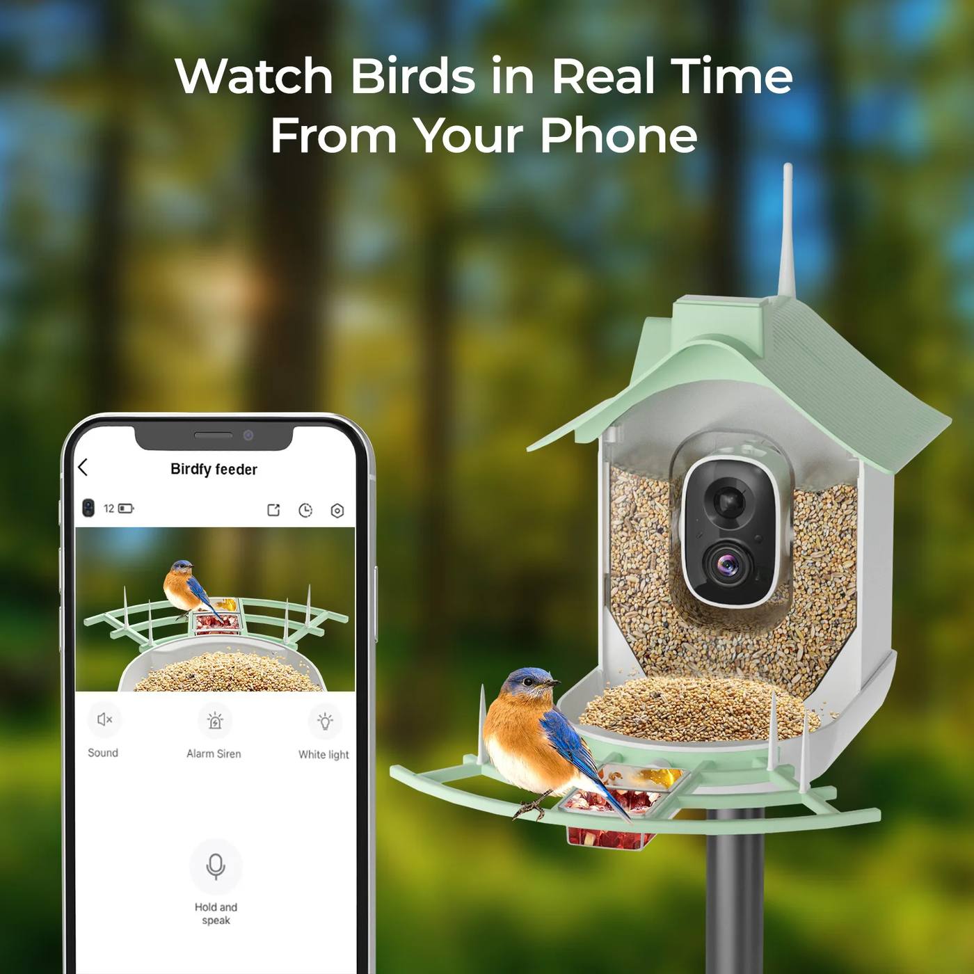 Wifi-Enabled Solar Bird Feeder High Definition 1080p Camera product detail 6