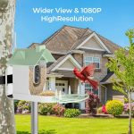 Wifi-Enabled Solar Bird Feeder High Definition 1080p Camera gallery 03
