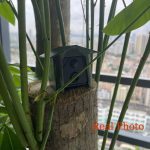 Wildlife Network Camera with Night Vision Two Way gallery 05