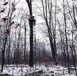 Climbing Blind Hunt Aluminum Folding Telescopic Ladder Tree gallery 05