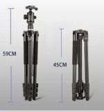 Professional High Load Q520 Aluminum Outdoor Tripod Arca gallery 03