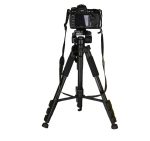 Professional High Load Q520 Aluminum Outdoor Tripod Arca gallery 06